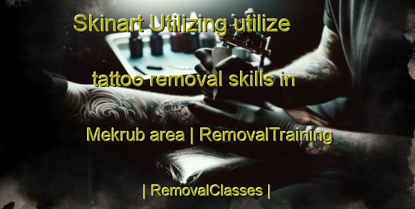 Skinart Utilizing utilize tattoo removal skills in Mekrub area | RemovalTraining | RemovalClasses | SkinartTraining-Turkmenistan